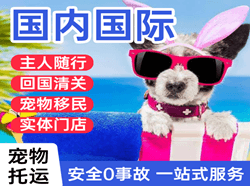 巴彦淖尔天吉泰机场货运国际宠物托运 【国